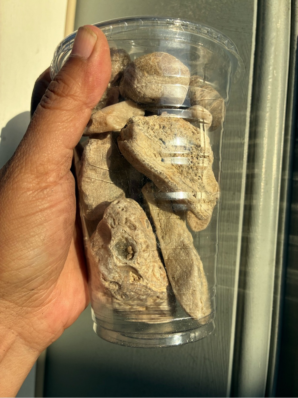 1.4 lbs of Naturally Sea Tumbled rocks #stones #minerals - Picture 12 of 15